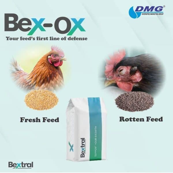 BEX OX (Antioxidant)