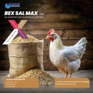 BEX SAL MAX (Acidifier)