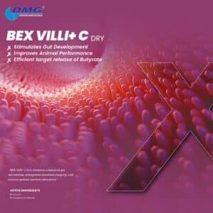 BEX VILLI + C (TRIBUTYRIN)