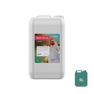 Bex AC34