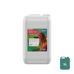 Bex C12